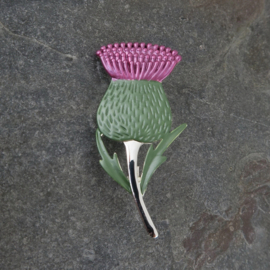 Distel broche