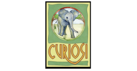 Curiosi Picoli Olifant