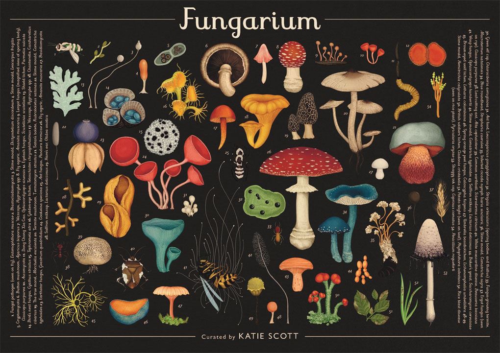 Fungarium puzzel 1000 stukjes