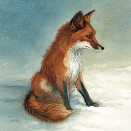 Red Fox
