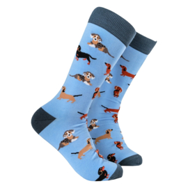 Soctopus sokken Diverse TECKELS Life 43-46 Lichtblauw