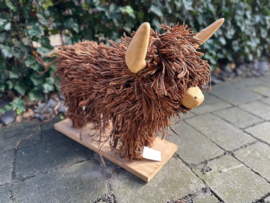 Schotse Hooglander
