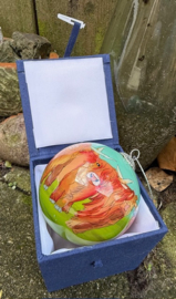 Glazen kerstbal Schotse Koe van Emma Ball