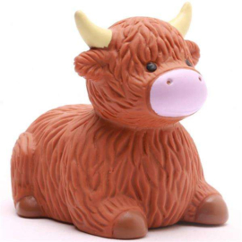 "Badeend" Schotse Hooglander