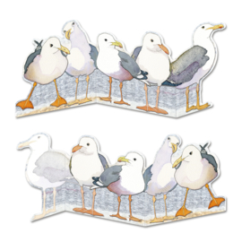 Seagulls