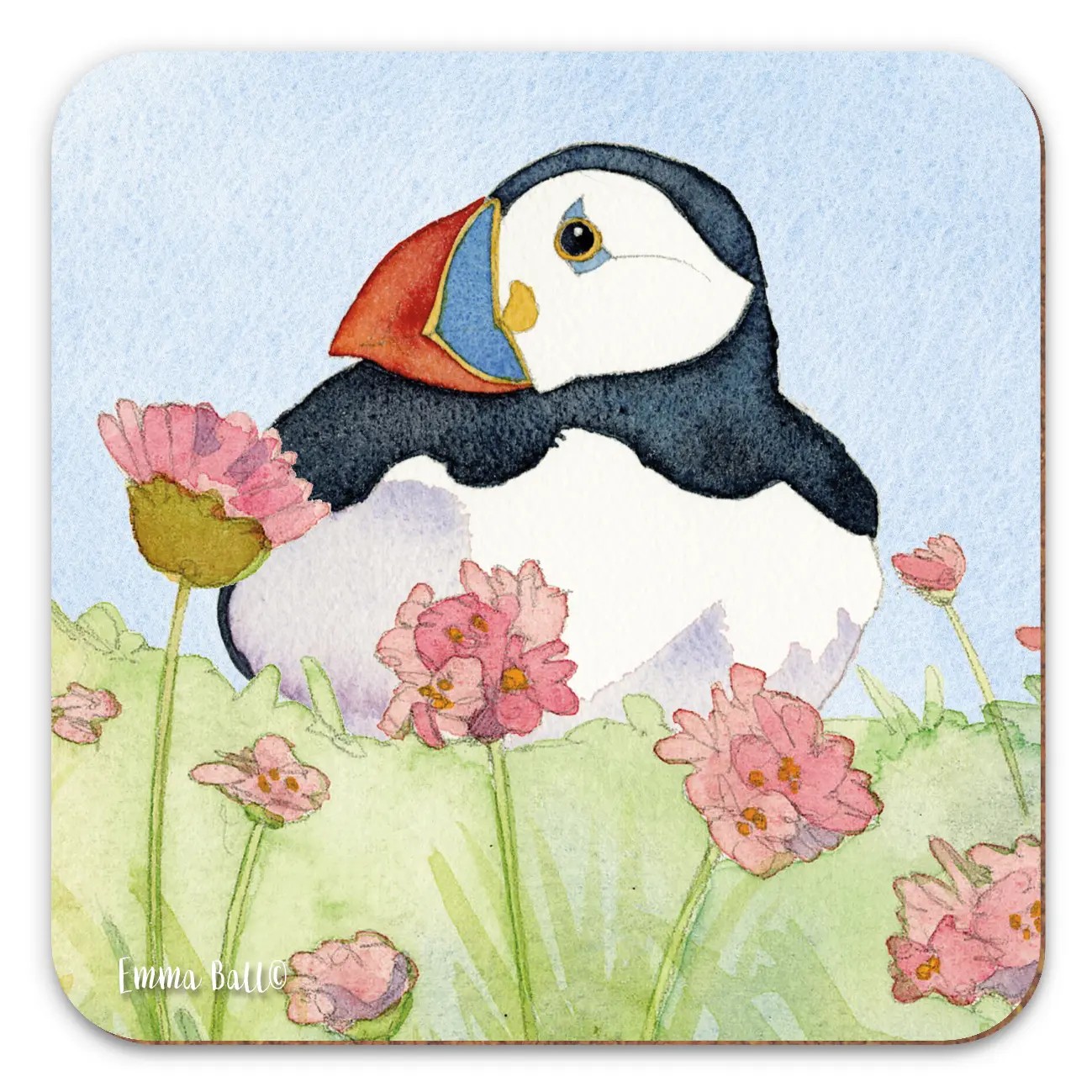O29THR03 Puffin Sea Thrift