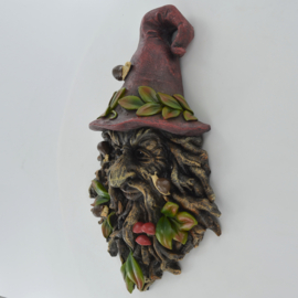 Tree Ent Radagust Wizard