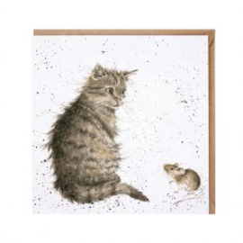 CS070 Cat and Mouse