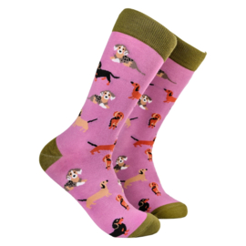 Socktopus Teckel sokken