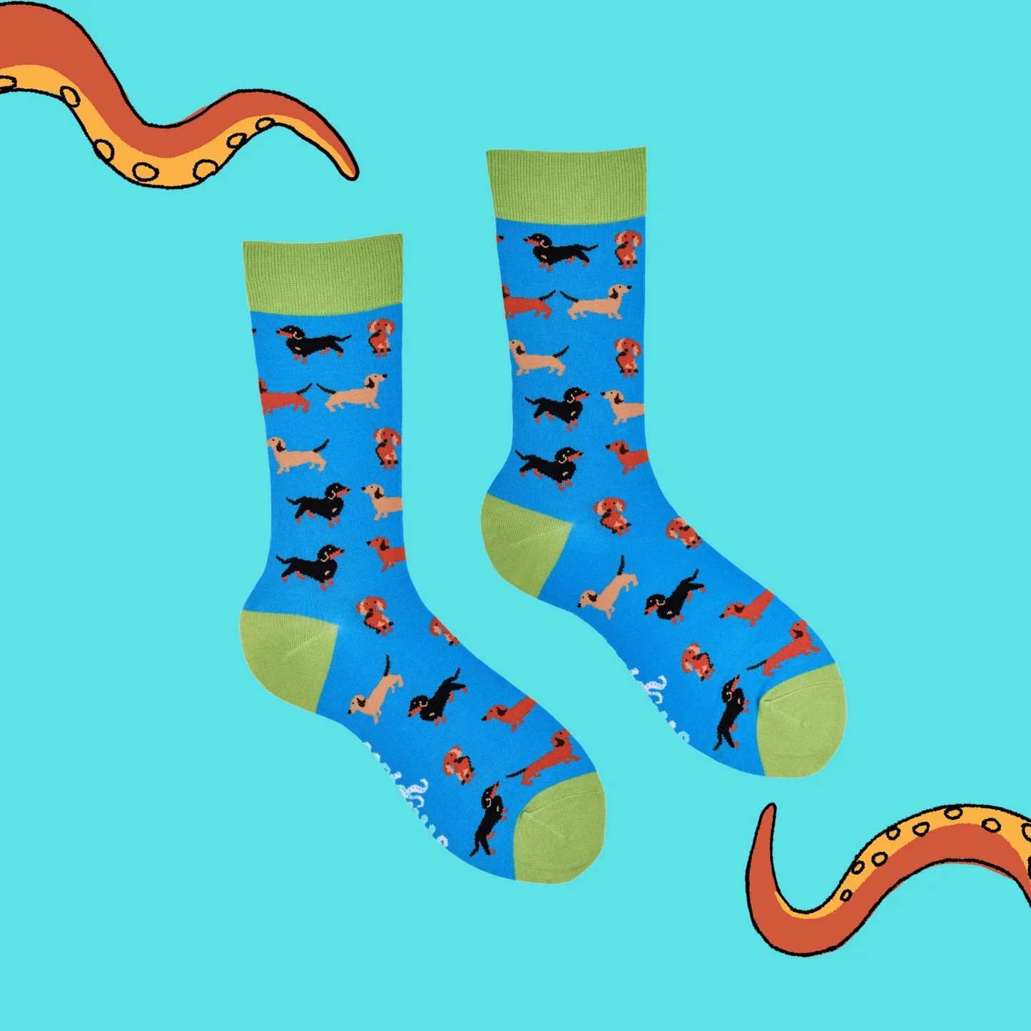 Soctopus sokken TECKELS Life 43-46 Groen/Blauw