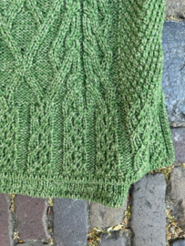 B251 Dames vest Groen