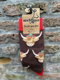 Damessokken Soctopus Highland Cow sokken 37-42