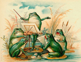 VT27 The Frog Chorus