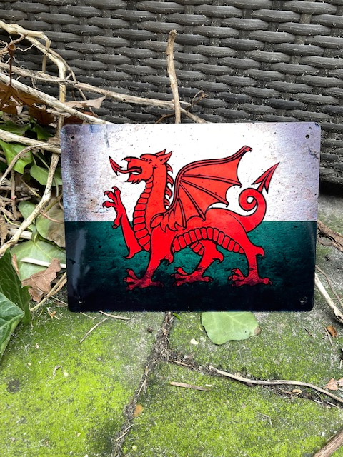 Metal Sign Welsh Dragon flag