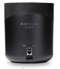 Bluesound Pulse M