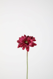 Single Mini Gerbera 47cm