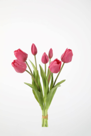 Tulip Bush x7 41cm