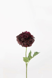 Dahlia Stem 62cm