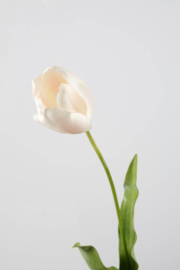 French Tulip Stem w/2lvs 74cm