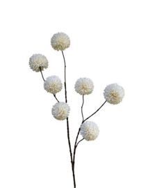 Pompom spray x 7 wit