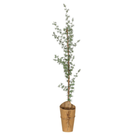 Artificial cedar w/paper stand