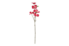 Dogwood tak S fuchsia