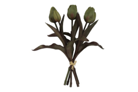 Tulip boeket groen