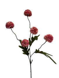 Pompom spray x 5 pink