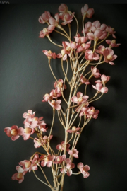 Kornoelje old pink 92 cm