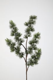 Pine Stem 81cm