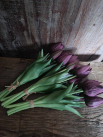 Bosje minitulpen met 5 stelen purple