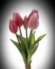 Mini tulp Esmee 5 stelen coral pink