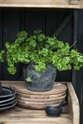 Pot Athens grooved