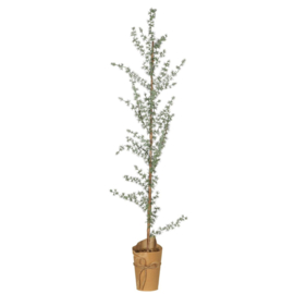 Artificial cedar w/jute stand