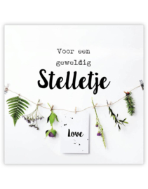 Geweldig Stelletje