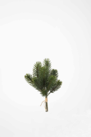 Pine Bundle 30cm