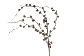 Kunst tak "Pine Branch" bruin zijde