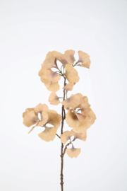 Ginkgo Leaf Spray 77cm