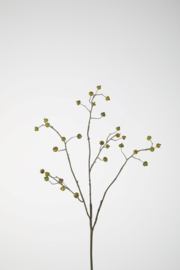 Rosehip Spray 82cm
