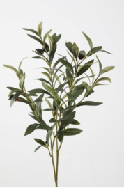 Olive Leaf Spray 72cm