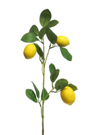 Lemon sinensis spray x3 yellow 74cm