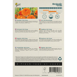 Calendula officinalis 'Ball’s Orange', Goudsbloem Biologisch