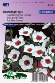 Linum grandiflorum 'Bright Eyes', Vlas Lijnzaad