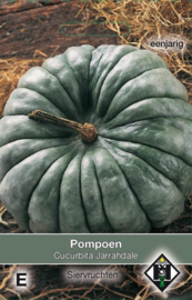 Pompoen 'Jarrahdale', Cucurbita maxima