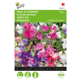 Lathyrus odoratus 'Bijou', Siererwt Dwerg