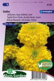 Tagetes erecta 'Smiles', Afrikaantje