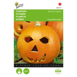 Pompoen halloween 'Jack o'Lantern', Cucurbita pepo