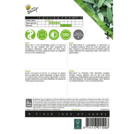 Salie, Salvia officinalis