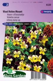 Viola cornuta 'Helen Mount', Bosviooltje