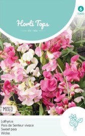 Lathyrus latifolius MIX/'Pearl Mix', Siererwt vaste